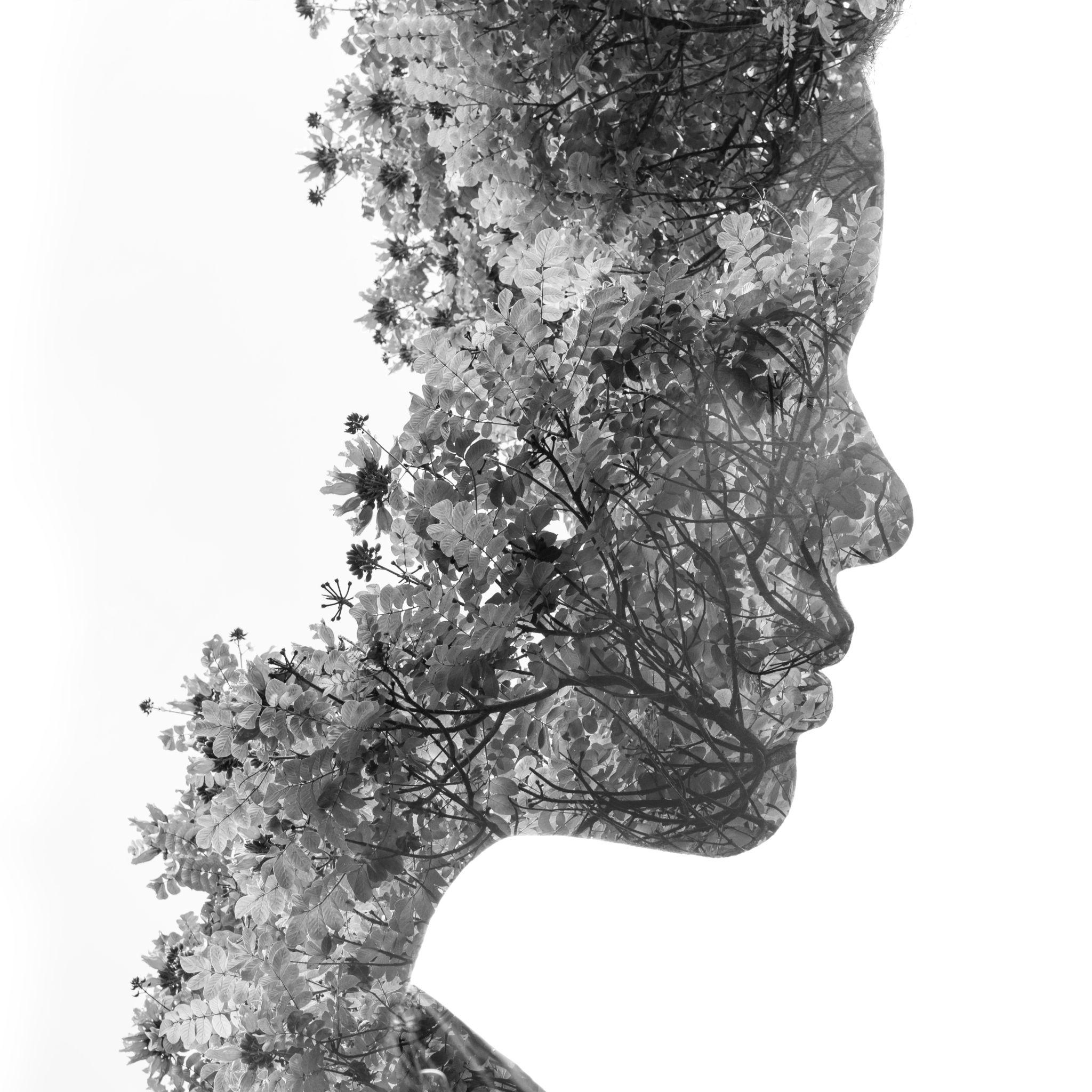 Abstract Study